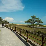 Castello 比比翁